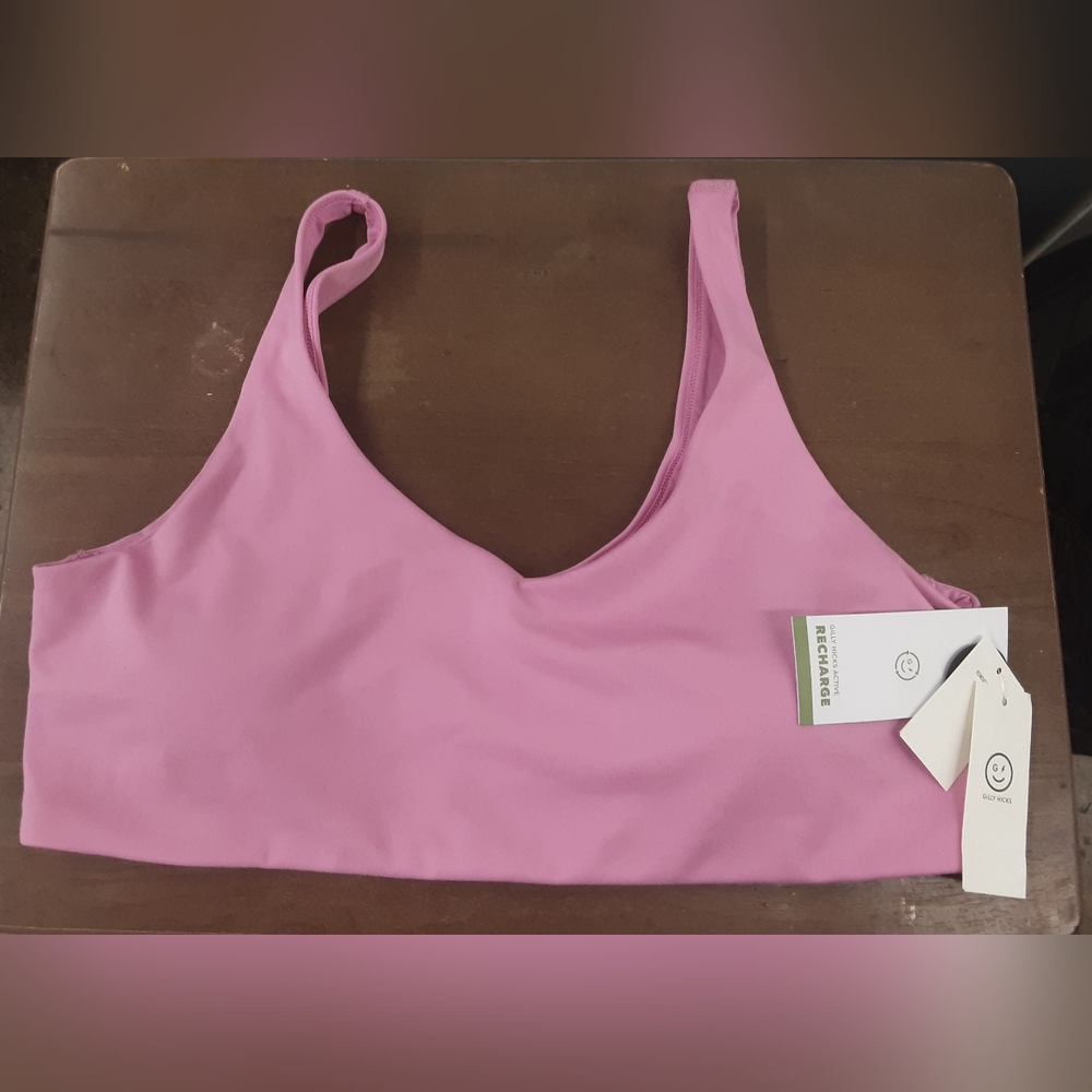 NWT!!! Gilly Hicks Hollister Pink Sports Bra. Size XL.